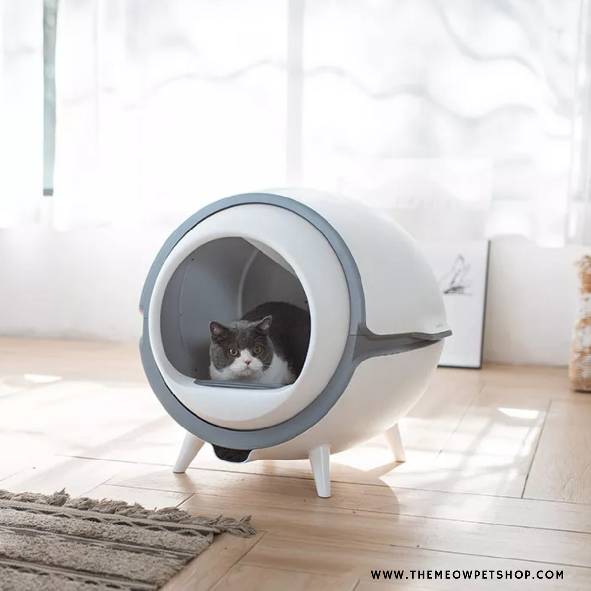 Automatic Cat Litter Boxes – The Meow Pet Shop